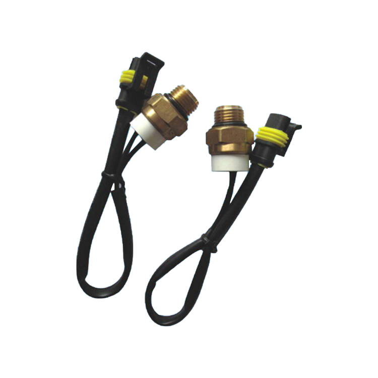 汽車水箱溫控開關(guān)